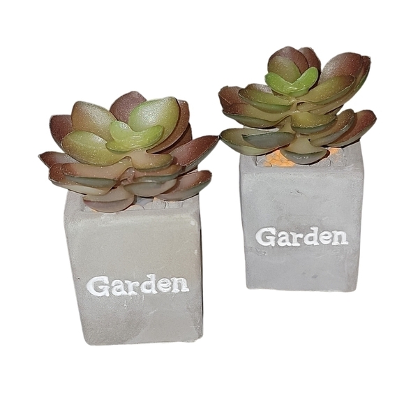 Artificial Succulent Plants in Gray Pots set of 2 - Picture 1 of 9